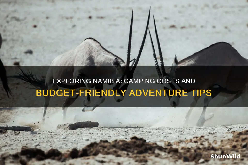 how much does it cost to camp in namibia