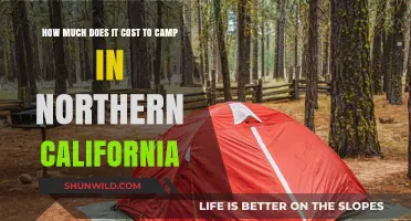 Camping Costs in Northern California: Budgeting Your Outdoor Adventure