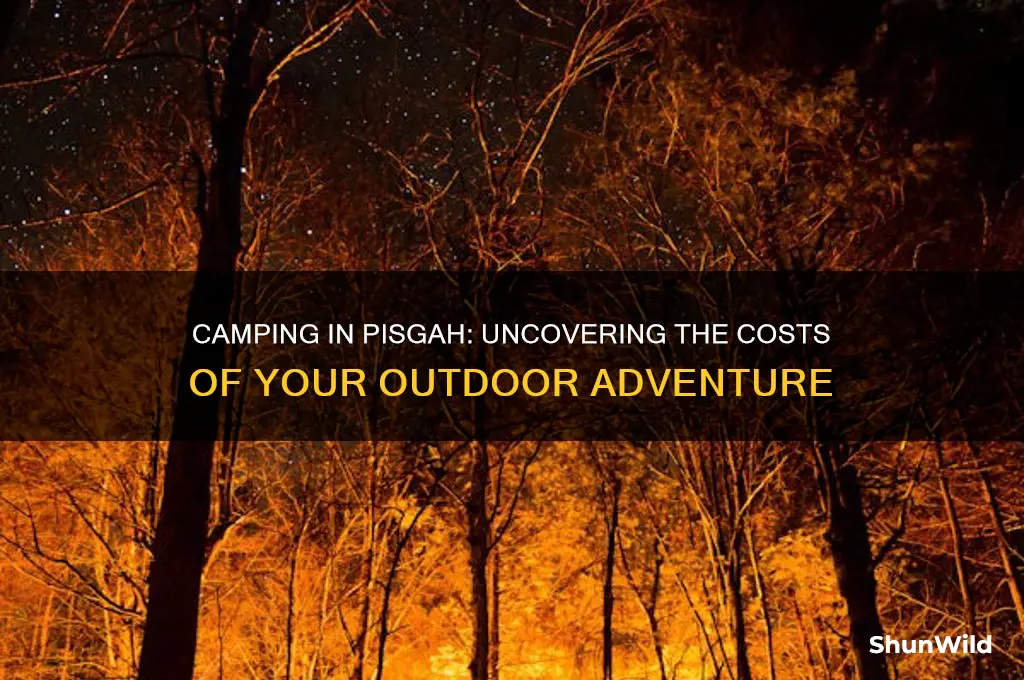 how much does it cost to camp in pisgah