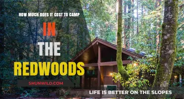 Camping in the Redwoods: Uncovering the Costs of a Majestic Adventure