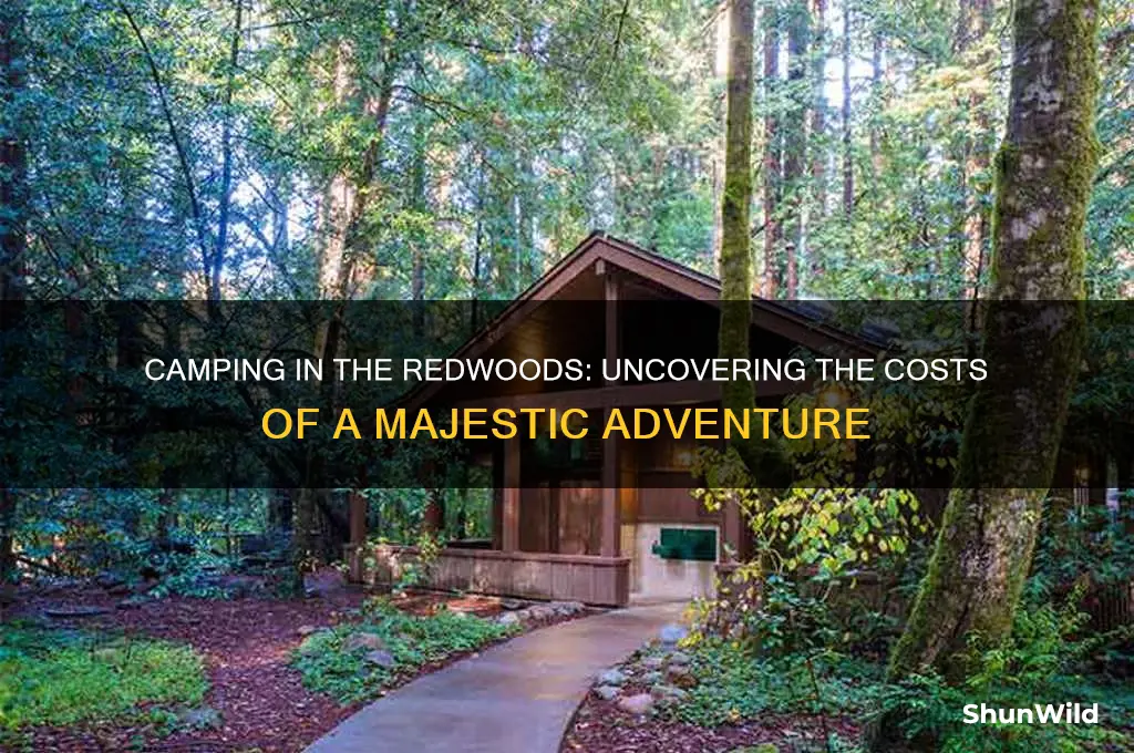 how much does it cost to camp in the redwoods