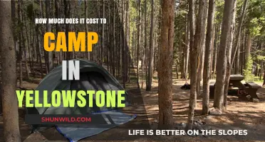 Camping in Yellowstone: Uncovering the Costs of Your Adventure