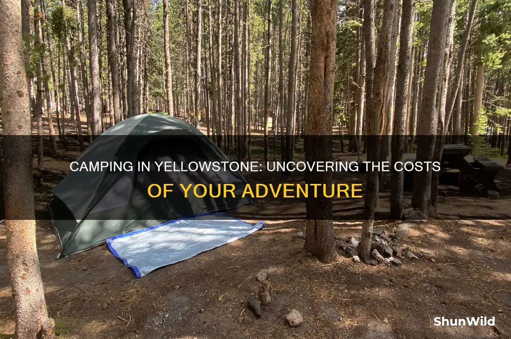 how much does it cost to camp in yellowstone