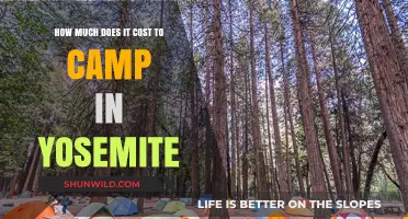 Yosemite Camping Costs: Budgeting Your Adventure in the National Park
