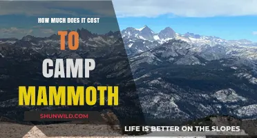 Camping Mammoth: Uncovering the Costs of Your Mountain Adventure