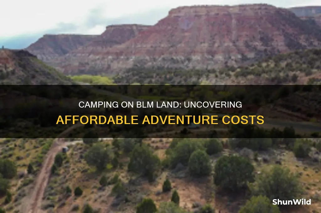how much does it cost to camp on blm land