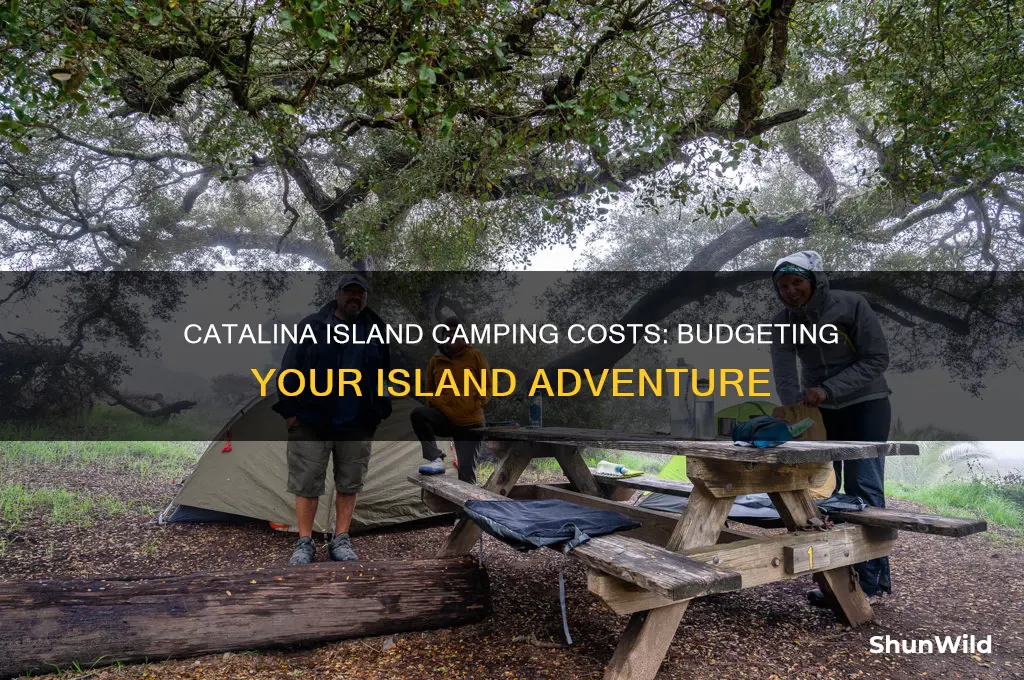 how much does it cost to camp on catalina island