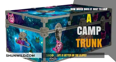 Shipping a Camp Trunk: Understanding Costs and Budget-Friendly Tips