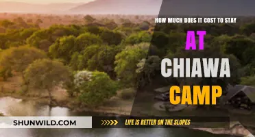 Chiawa Camp Stay: Unveiling the Cost of a Luxury Safari Experience