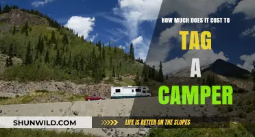 Camper Tagging Costs: A Comprehensive Guide to Registration Fees