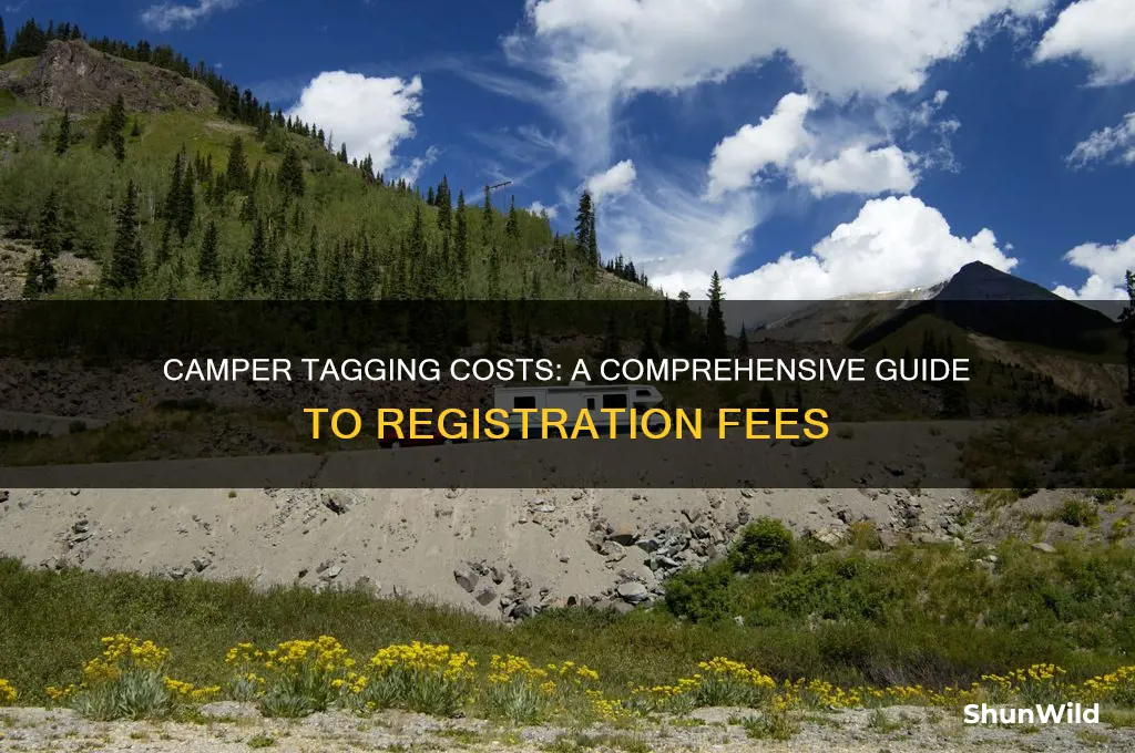 how much does it cost to tag a camper