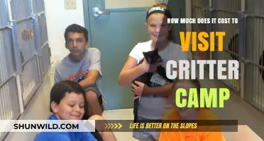 Exploring Critter Camp: Uncovering the Cost of Your Adventure