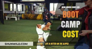K9 Boot Camp Cost: What to Expect for Your Dog's Training