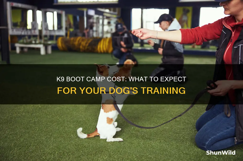 how much does k9 boot camp cost