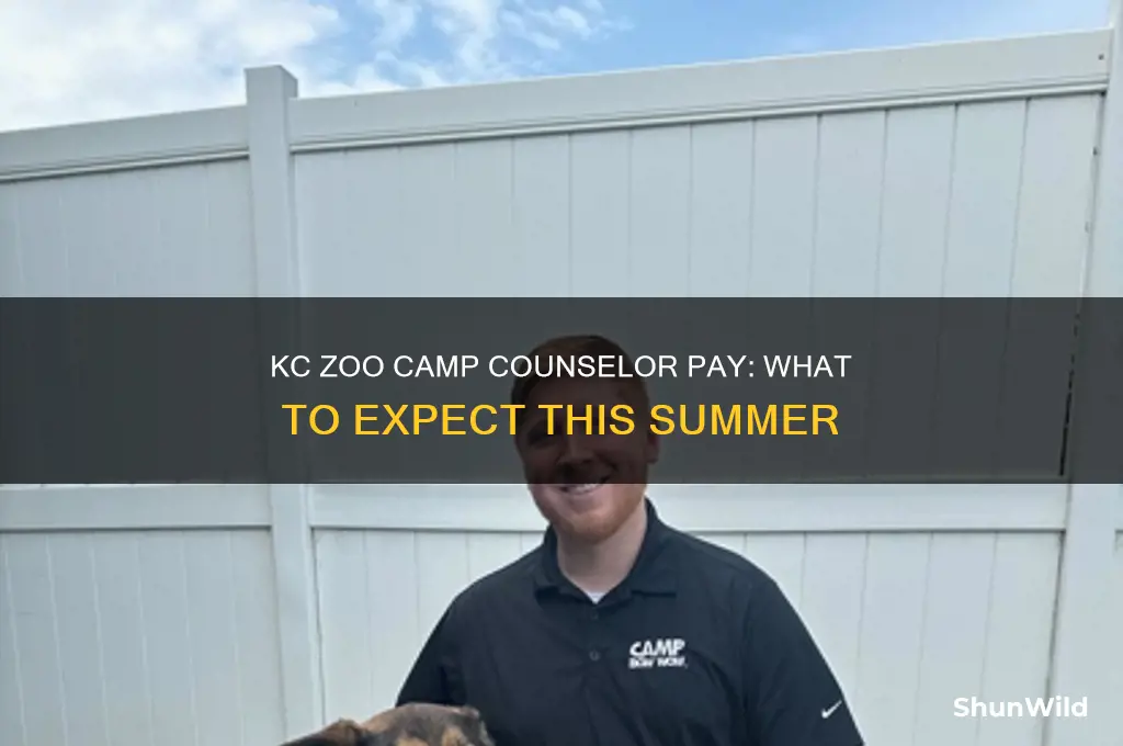 how much does kc zoo pay camp counselors