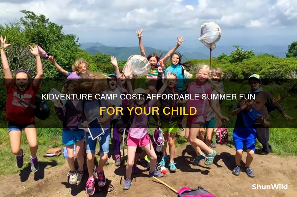 how much does kidventure camp cost