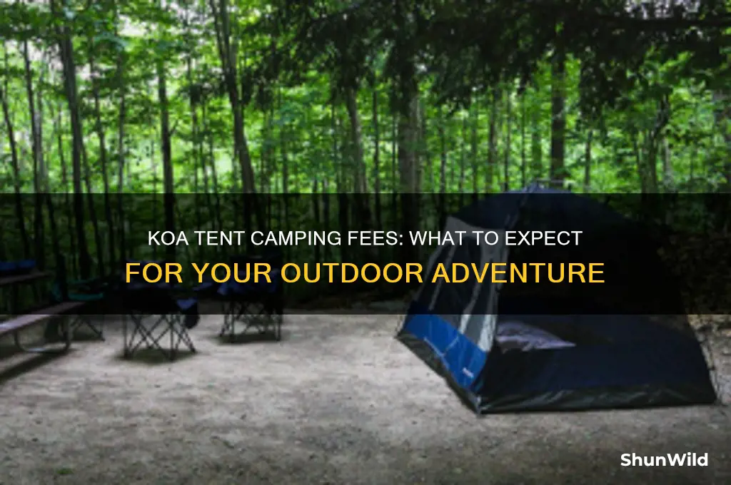 how much does koa charge for tent camping