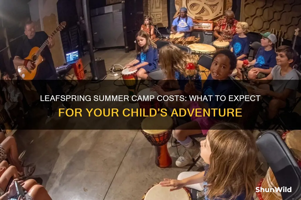 how much does leafspring summer camp cost