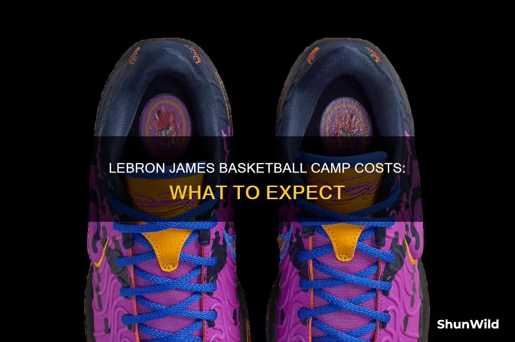 how much does lebron camp cost
