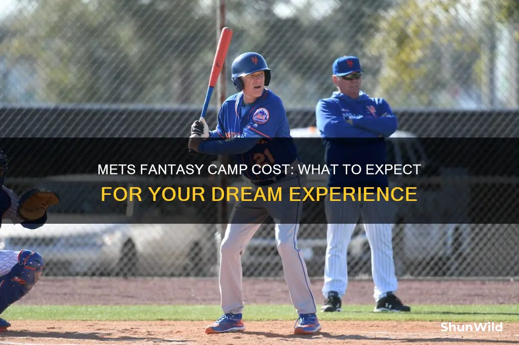 how much does mets fantasy camp cost