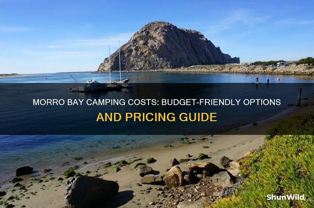 how much does morro bay camping cost