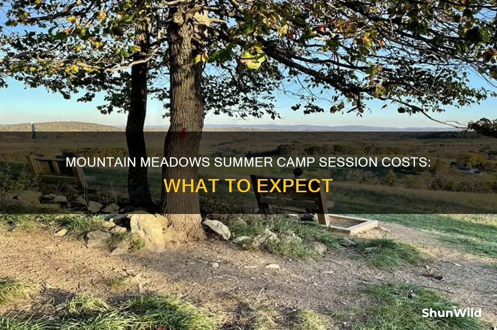 how much does mountain meadows summer camp cost per session