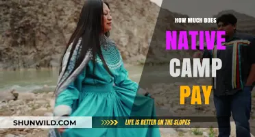 Native Camp Pay Rates: Unveiling Earnings for Online English Teachers