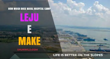 Naval Hospital Camp Lejeune Revenue: Unveiling the Financial Insights