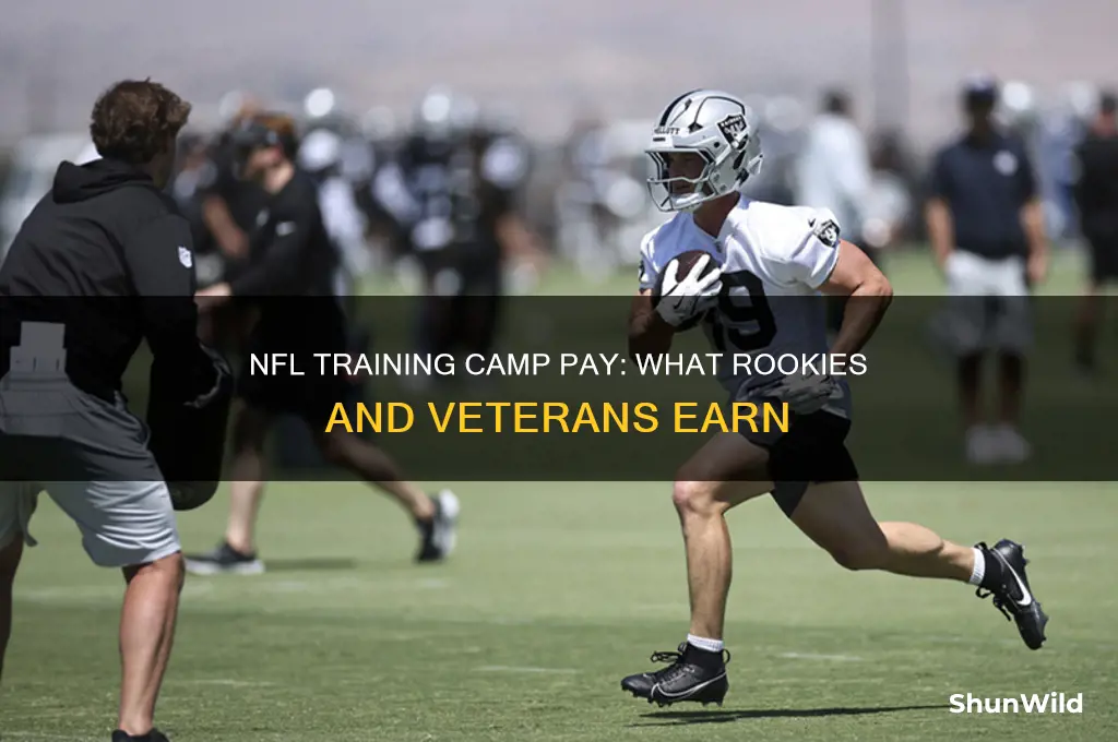 how much does nfl training camp pay
