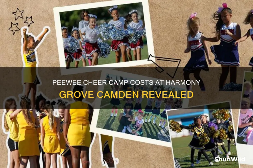 how much does peewee cheer camp cost harmony grove camden