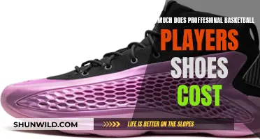 Basketball Pros' Shoe Secrets: How Much Do They Cost?