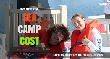 Sea Camp Costs: Budgeting for Your Ocean Adventure Experience