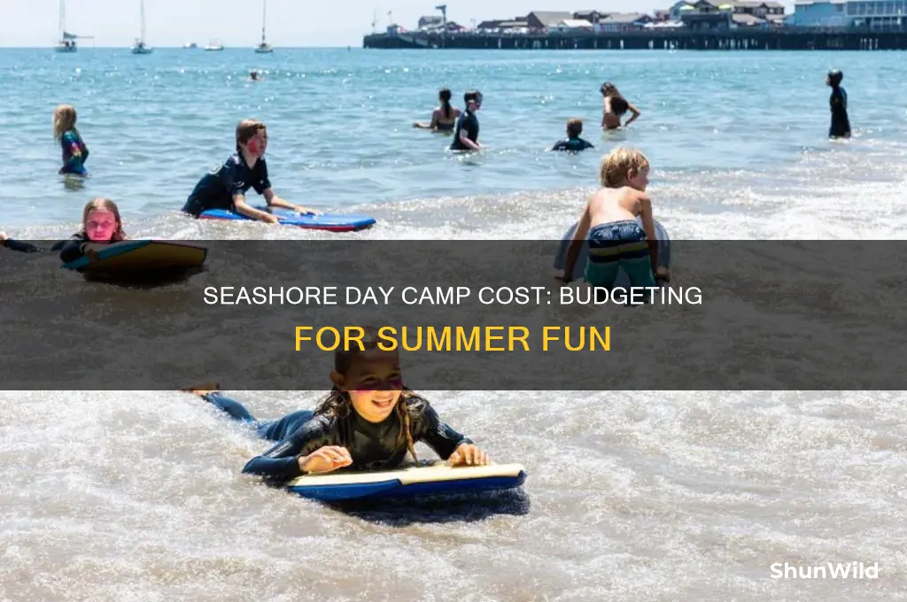 how much does seashore day camp cost