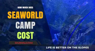 SeaWorld Camp Costs: Pricing Details and Budgeting Tips Revealed