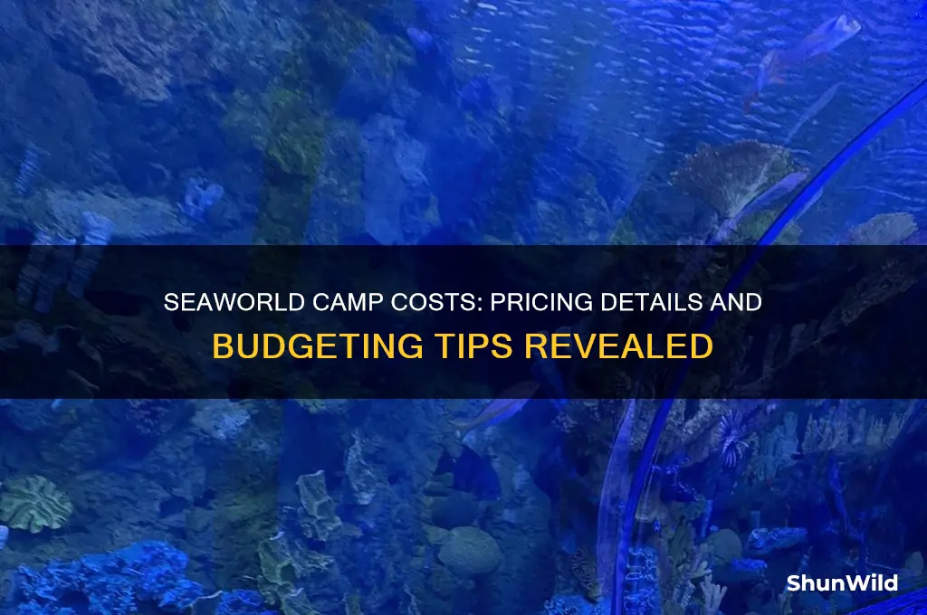 how much does seaworld camp cost