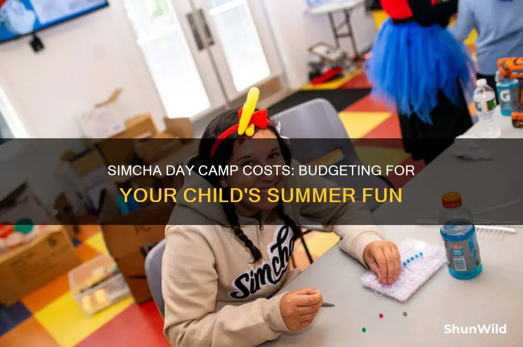 how much does simcha day camp cost