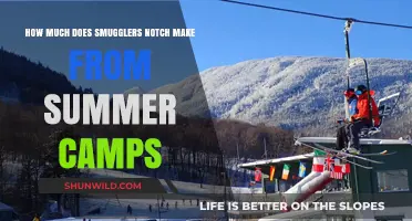 Unveiling Smugglers Notch's Summer Camp Revenue: A Financial Insight