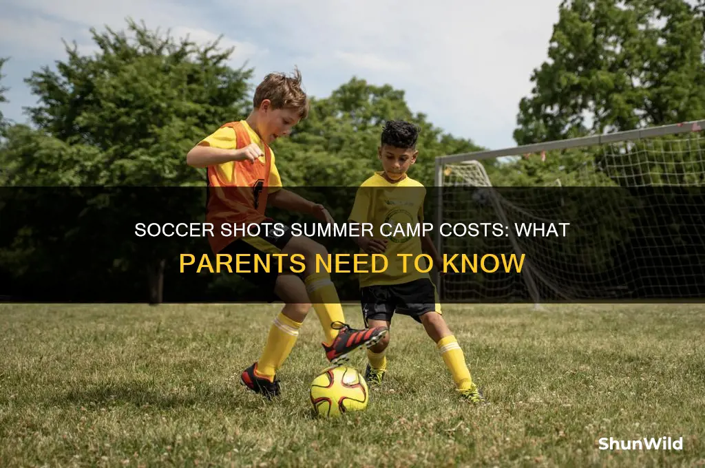 how much does soccer shots summer camp cost