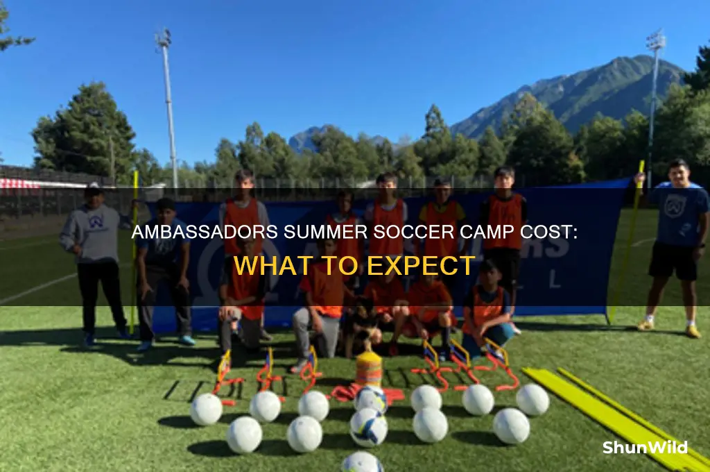 how much does the ambassadors summer soccer camp cost
