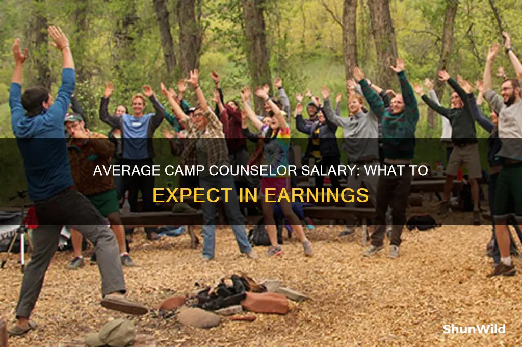 how much does the average camp counselor make