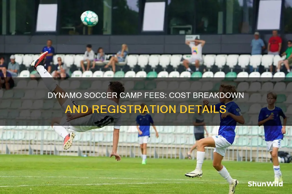 how much does the dynamo soccer camp charge