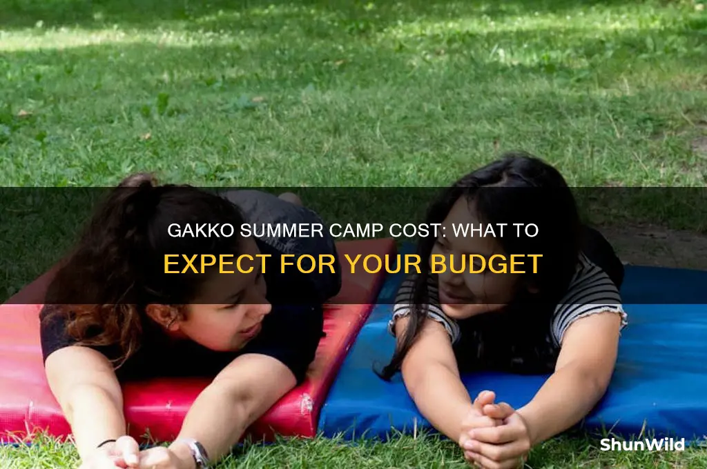 how much does the gakko summer camp cost