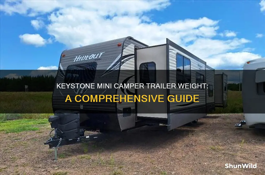 how much does the keystone mini camper trailer weigh