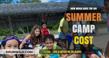 SIG Summer Camp Costs: What to Expect for Your Investment