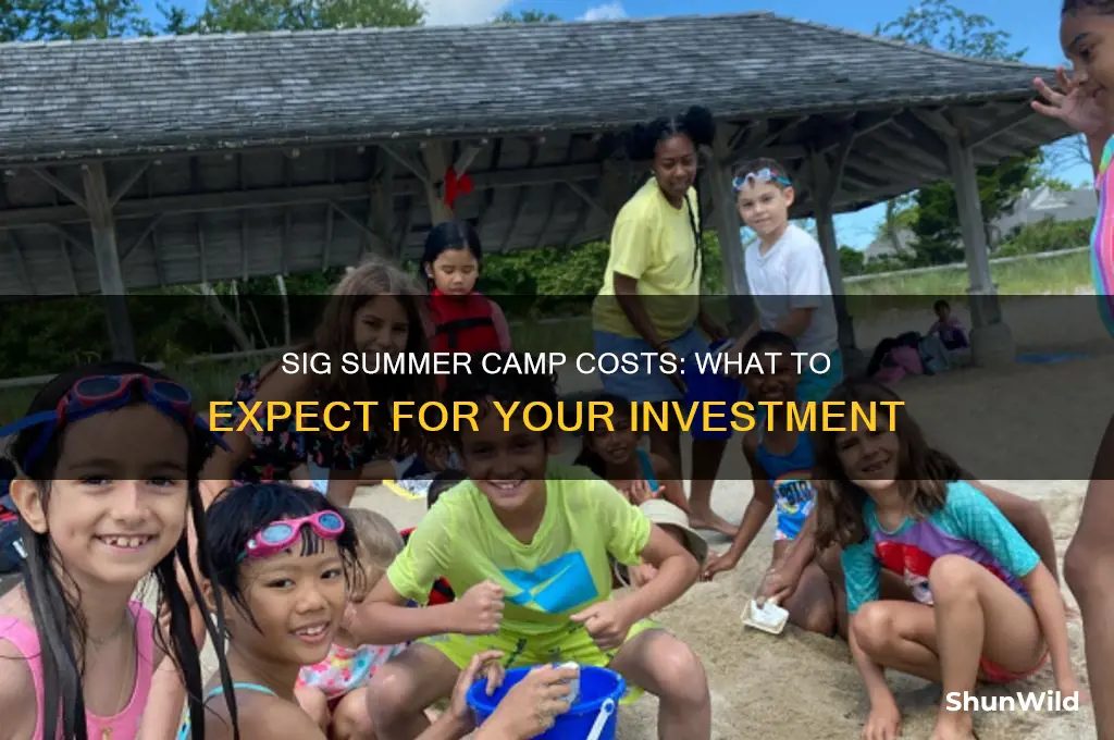 how much does the sig summer camp cost