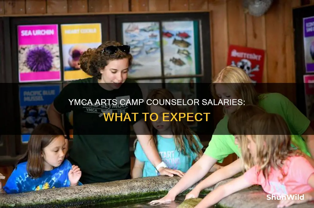 how much does the ymca pay arts camp counselors