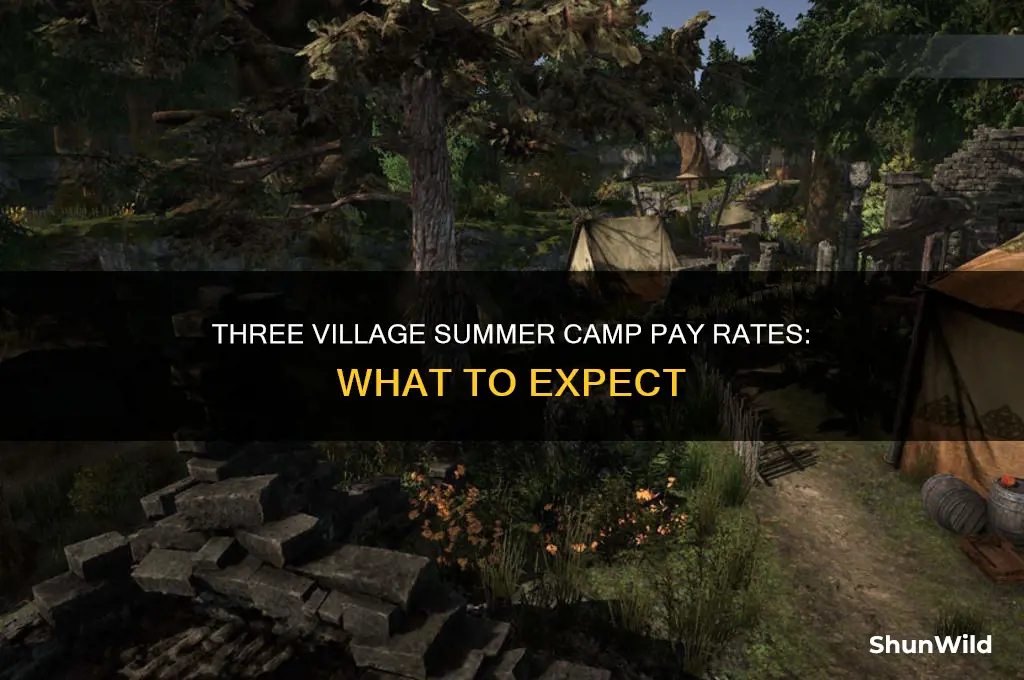 how much does three village summer camp pay