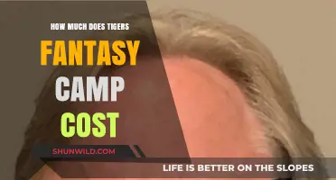 Tigers Fantasy Camp Cost: What to Expect for This Dream Experience