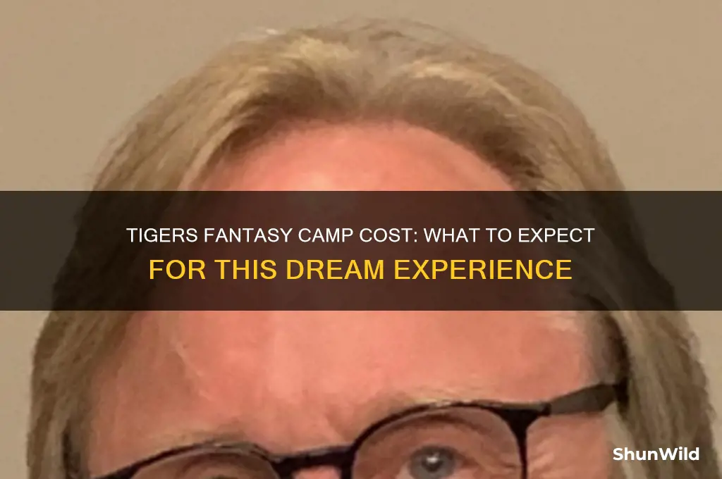 how much does tigers fantasy camp cost