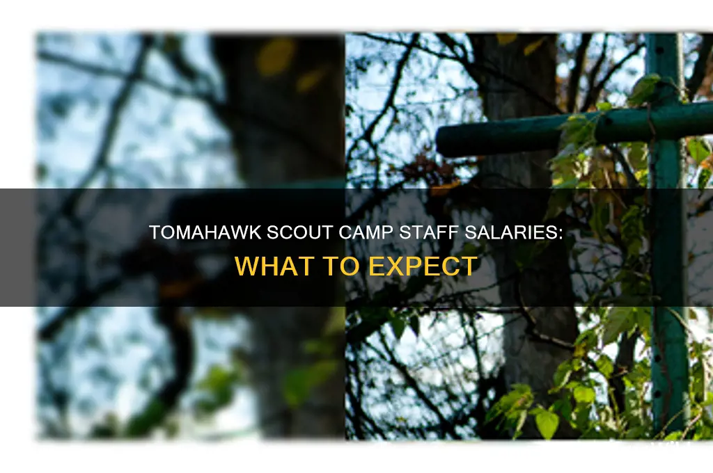 how much does tomahawk wi scout camp staff make